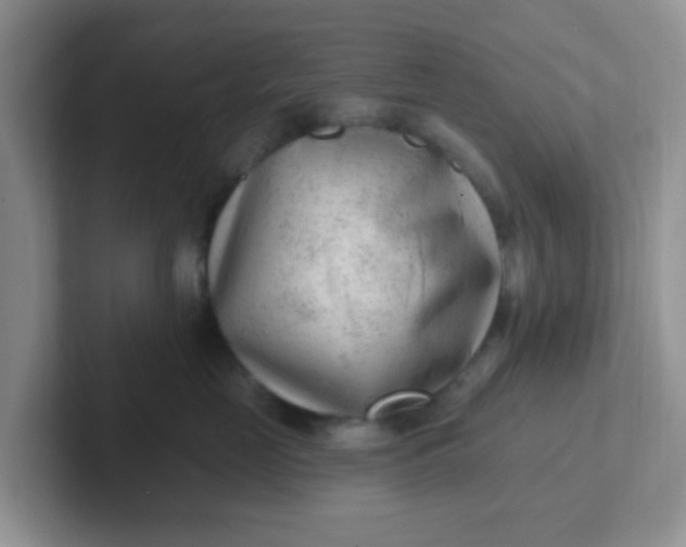 X0000102310669200808081608