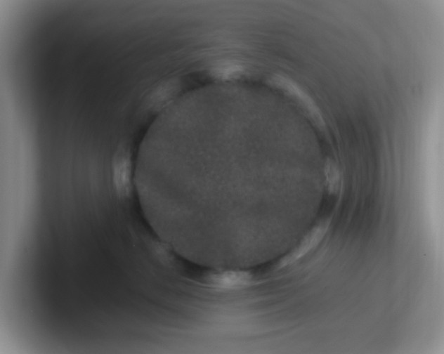 X0000102310670200808081608