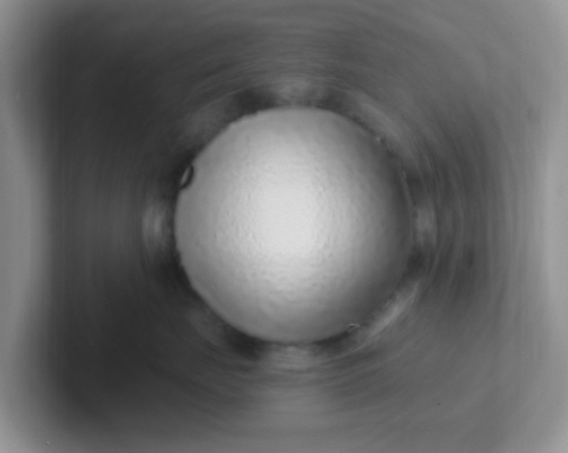 X0000102310671200808081608