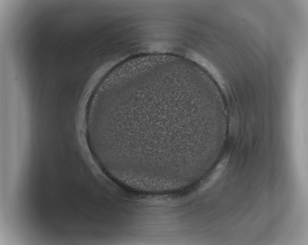 X0000102310673200808081607