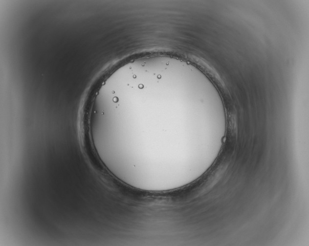 X0000102310676200808081607