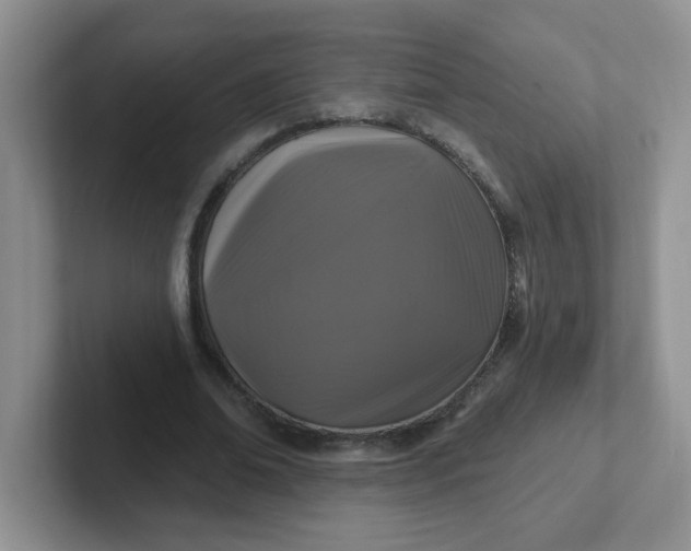 X0000102310678200808081607