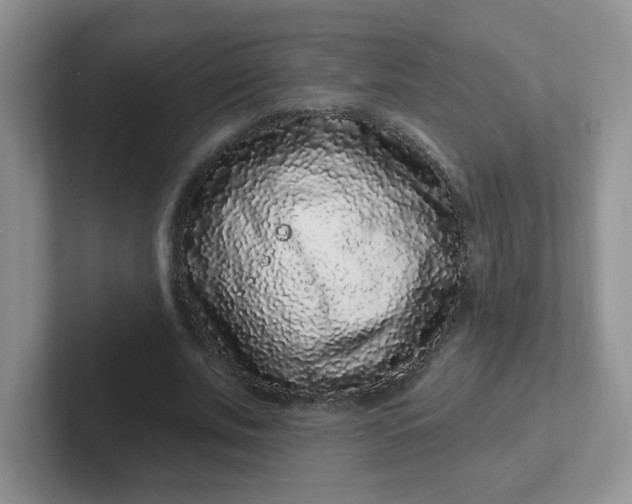 X0000102310679200808081607