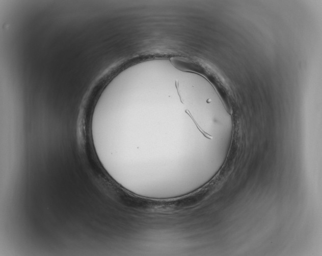 X0000102310680200808081607