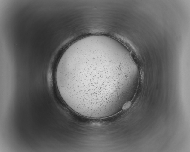 X0000102310684200808081607