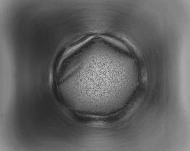 X0000102310685200808081607