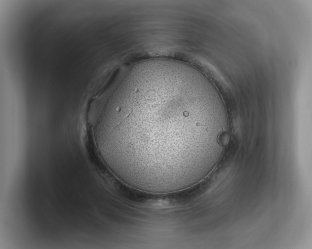 X0000102310687200808081607