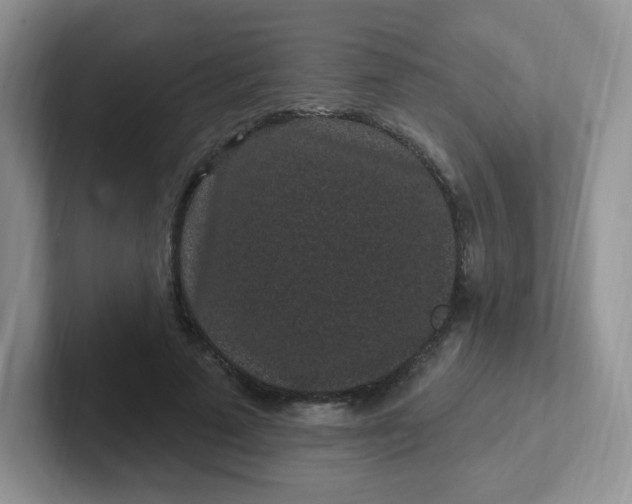 X0000102310689200808081606