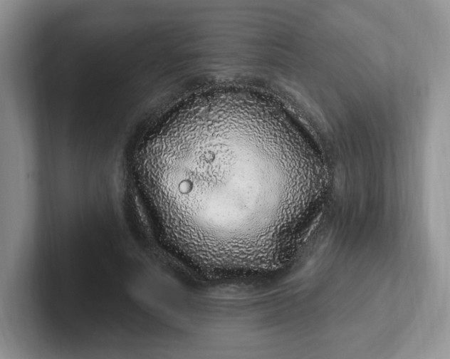 X0000102310691200808081606