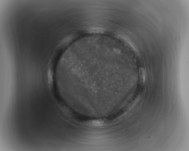 X0000102310692200808081606