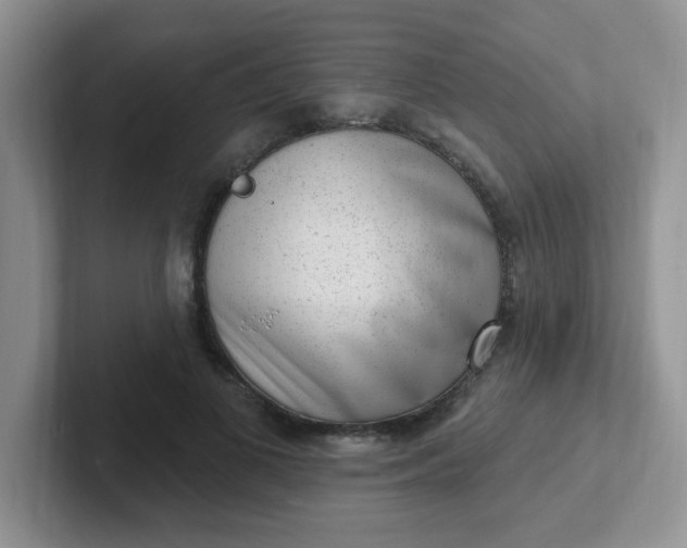 X0000102310693200808081606