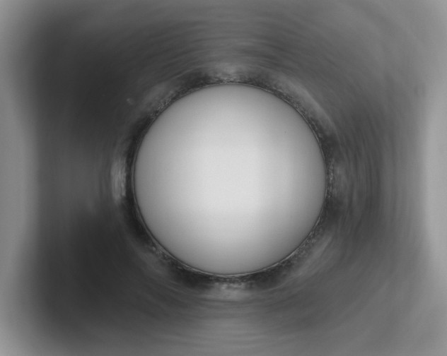 X0000102310694200808081606