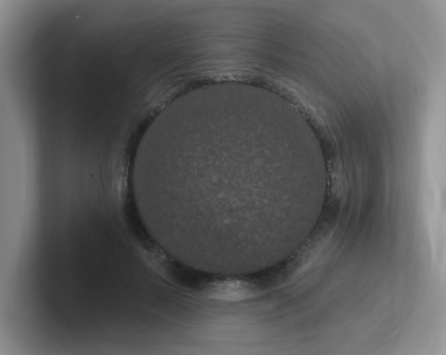 X0000102310695200808081606