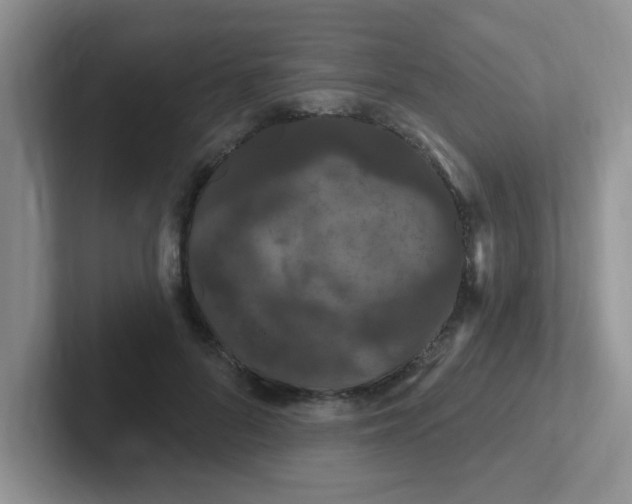 X0000102310696200808081606