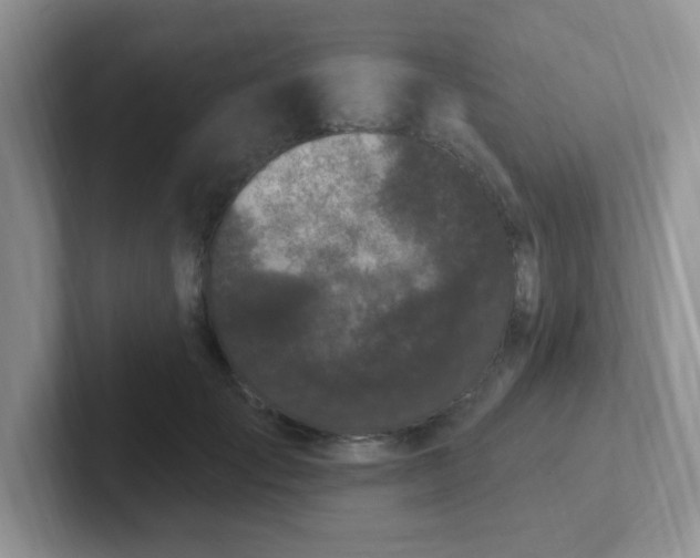 X0000102310701200808081606