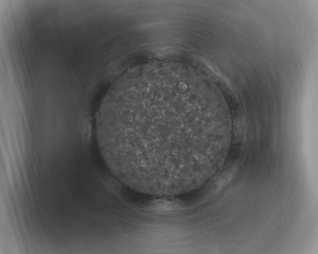 X0000102310703200808081606