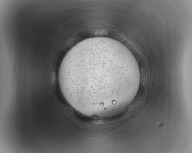 X0000102310704200808081606