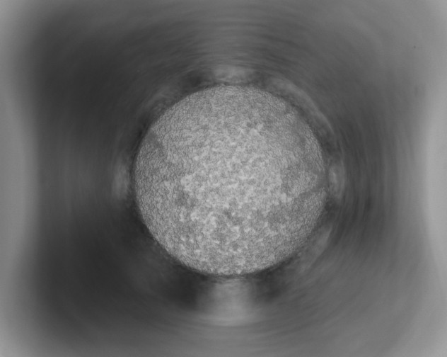 X0000102310705200808081606