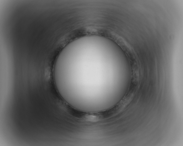 X0000102310706200808081606