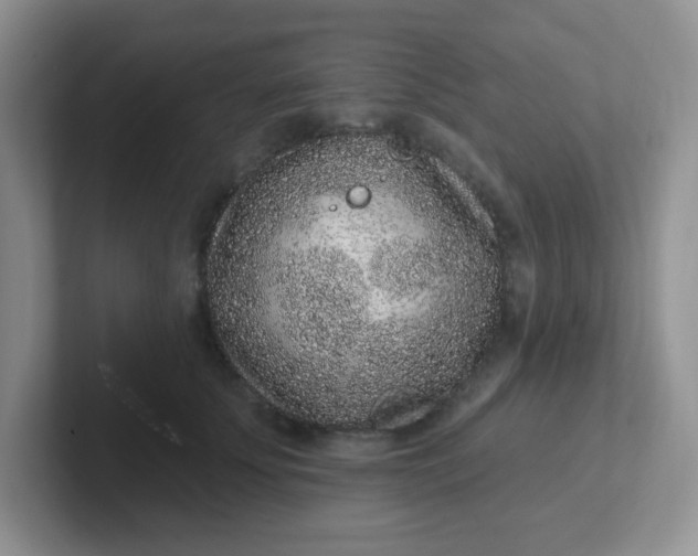 X0000102310707200808081606