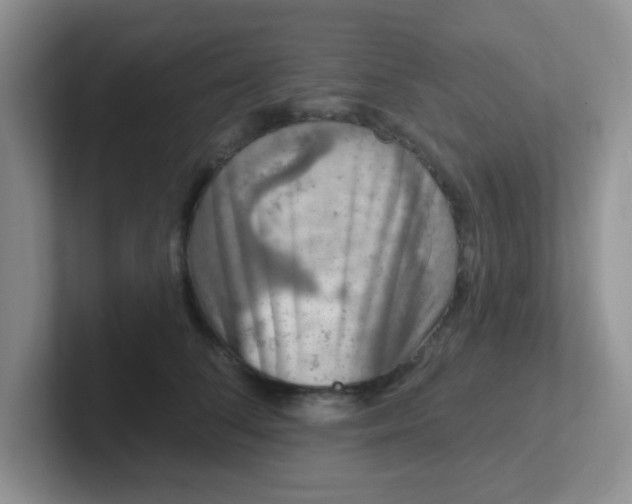 X0000102310708200808081606