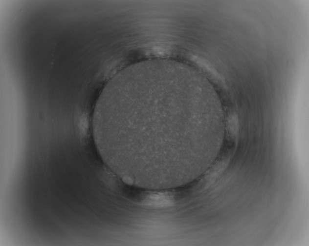 X0000102310709200808081606