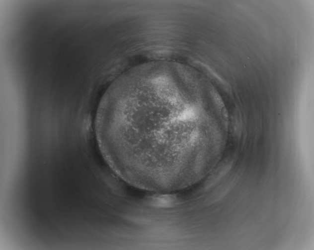 X0000102310711200808081606