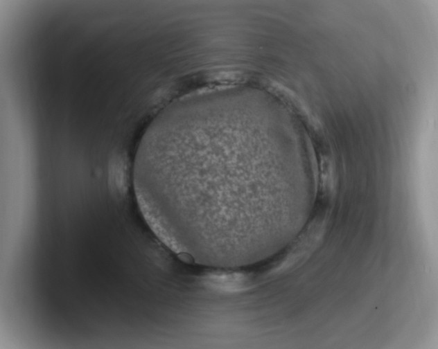 X0000102310712200808081606