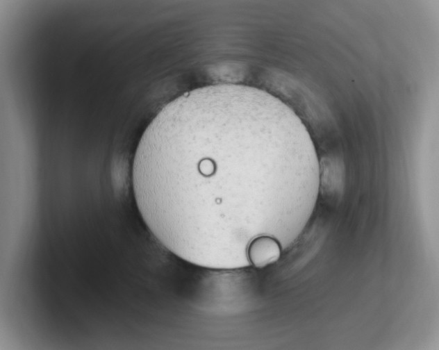 X0000102310713200808081606