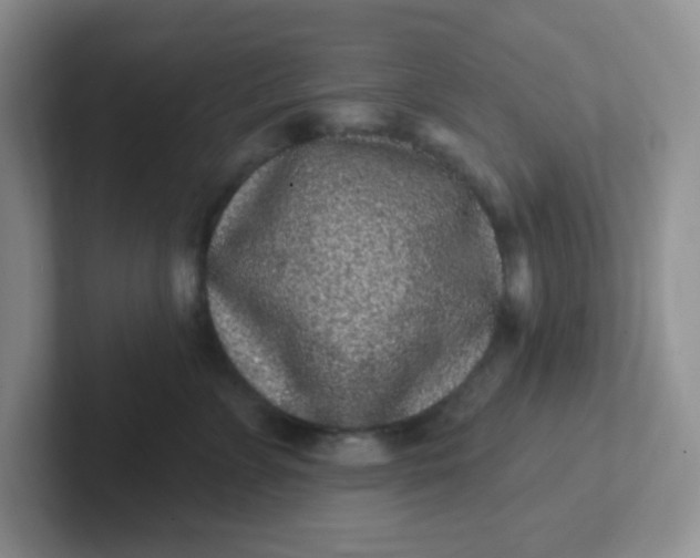 X0000102310715200808081606