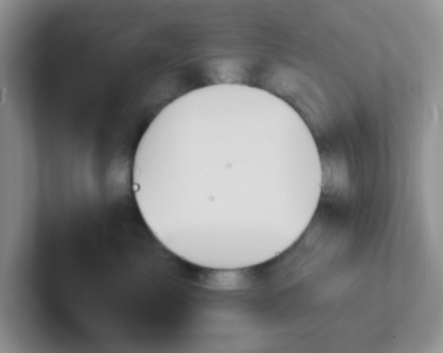 X0000102310717200808081606