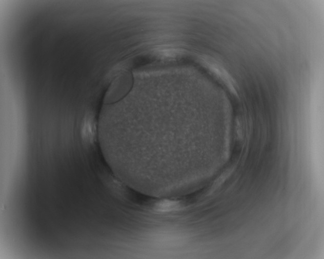 X0000102310718200808081606