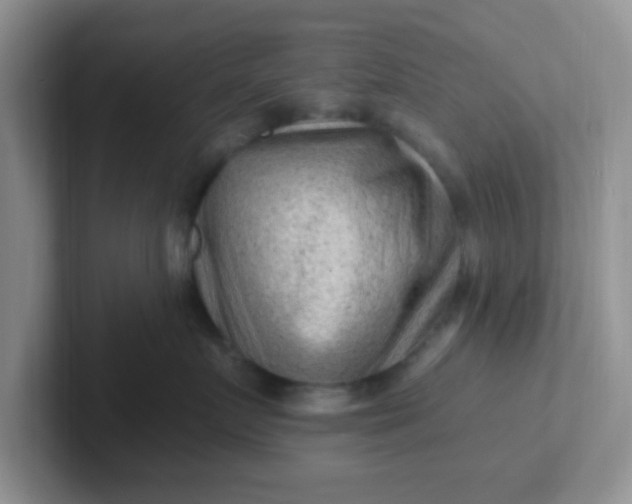 X0000102310719200808081606