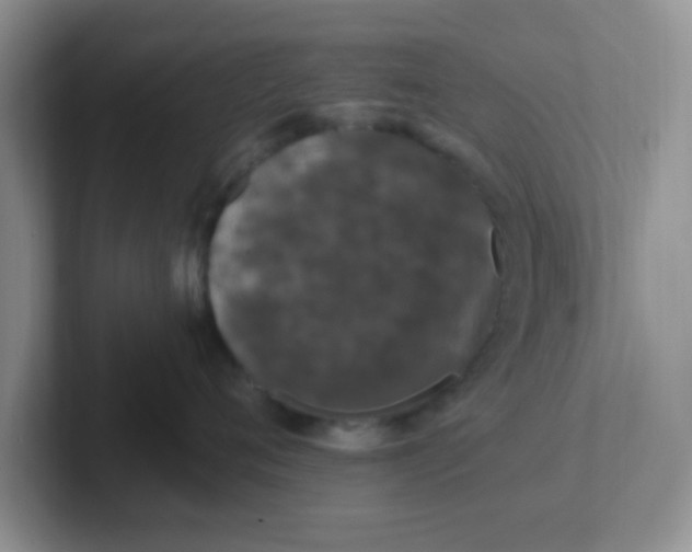 X0000102310720200808081606