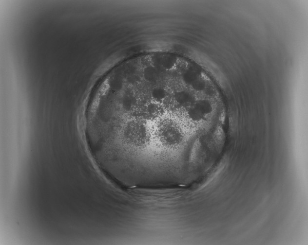 X0000102310721200808081605