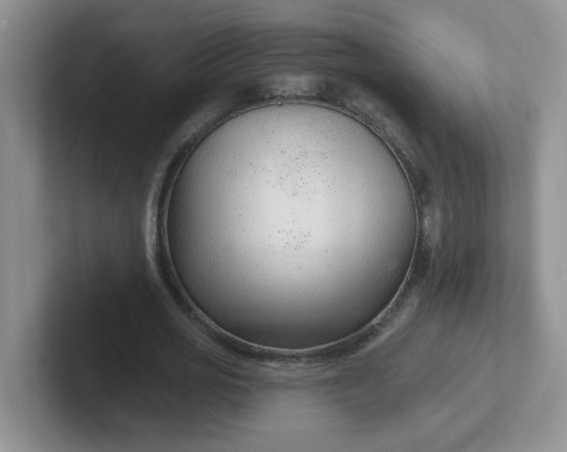 X0000102310725200808081605