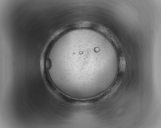 X0000102310726200808081605