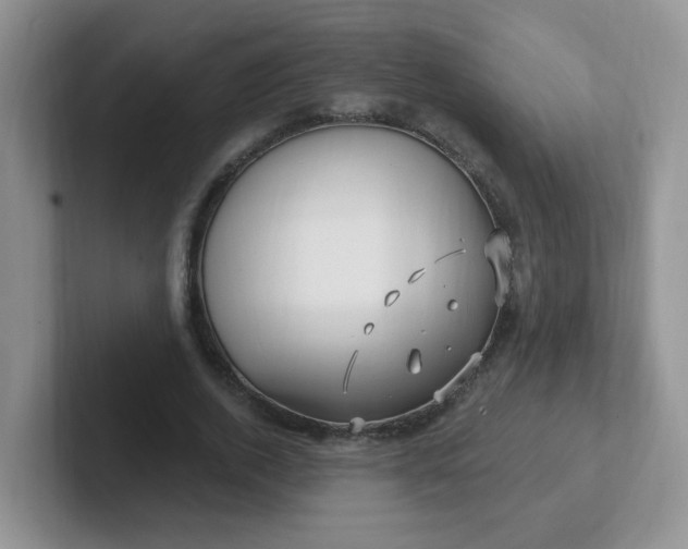 X0000102310728200808081605