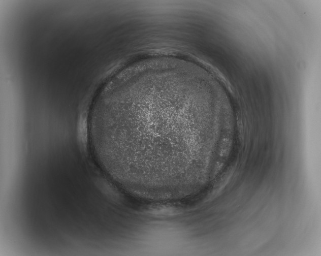 X0000102310729200808081605