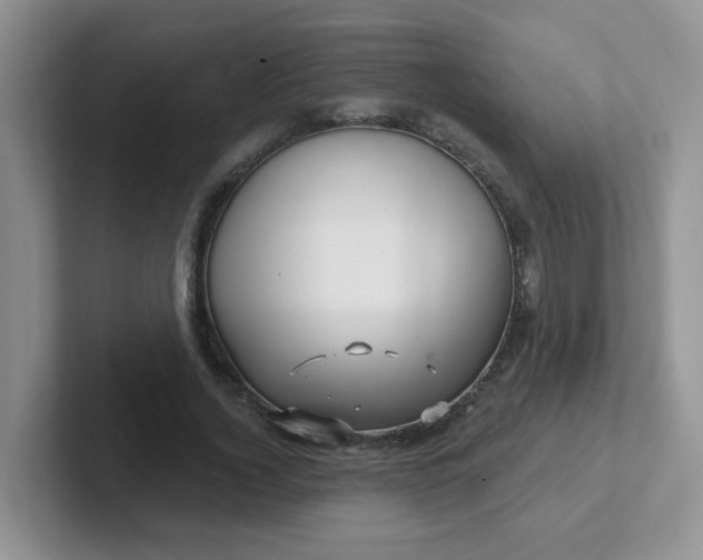 X0000102310732200808081605