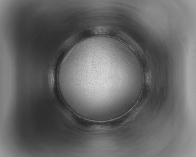 X0000102310733200808081605