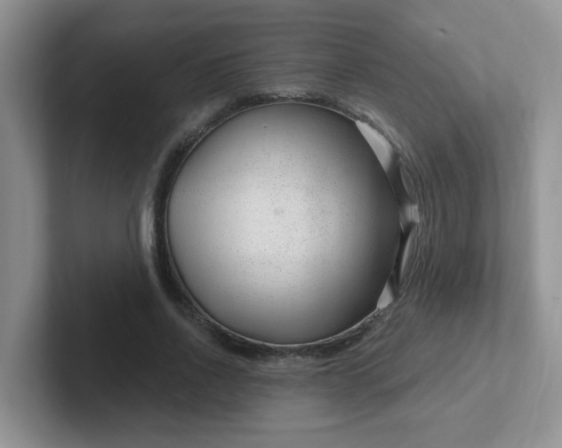 X0000102310734200808081605