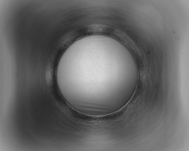 X0000102310735200808081605