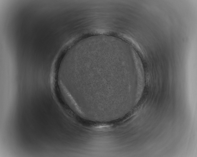 X0000102310736200808081605