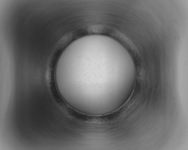 X0000102310738200808081605