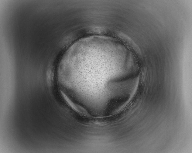 X0000102310739200808081605