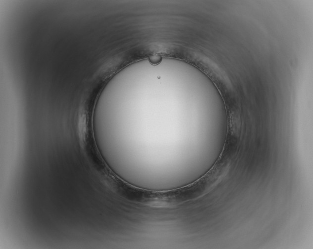 X0000102310740200808081605