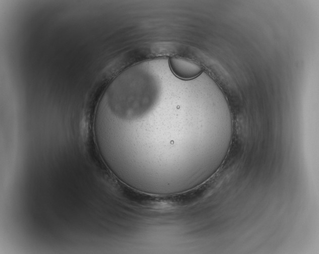 X0000102310741200808081605