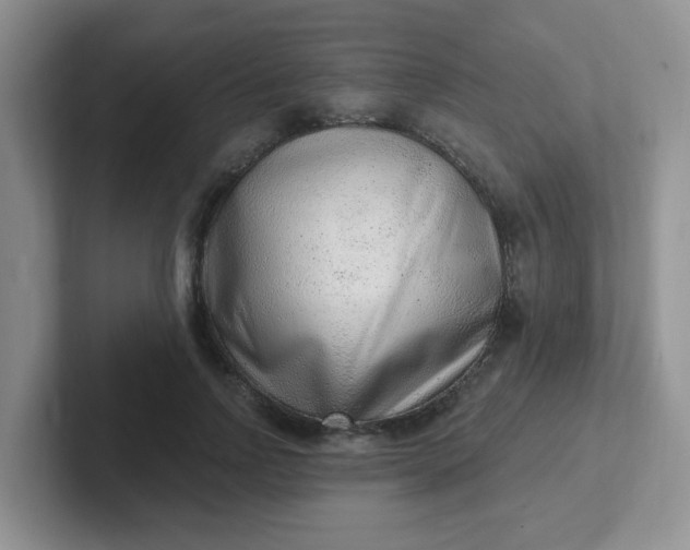 X0000102310742200808081605