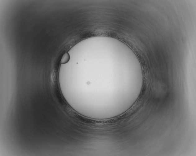 X0000102310744200808081605